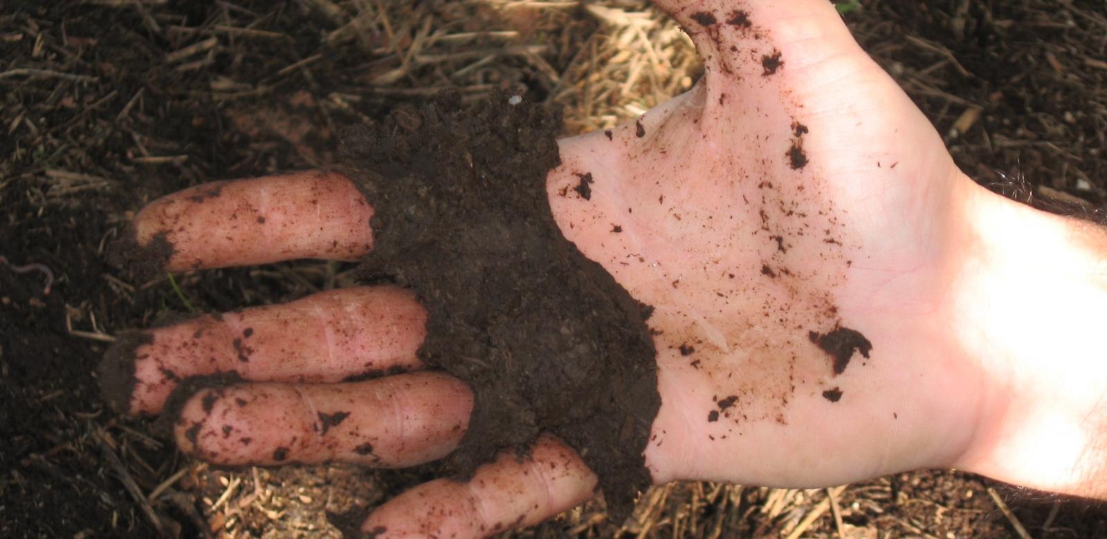 Coltivazione Biodinamica, Abbazia Santa Anastasia