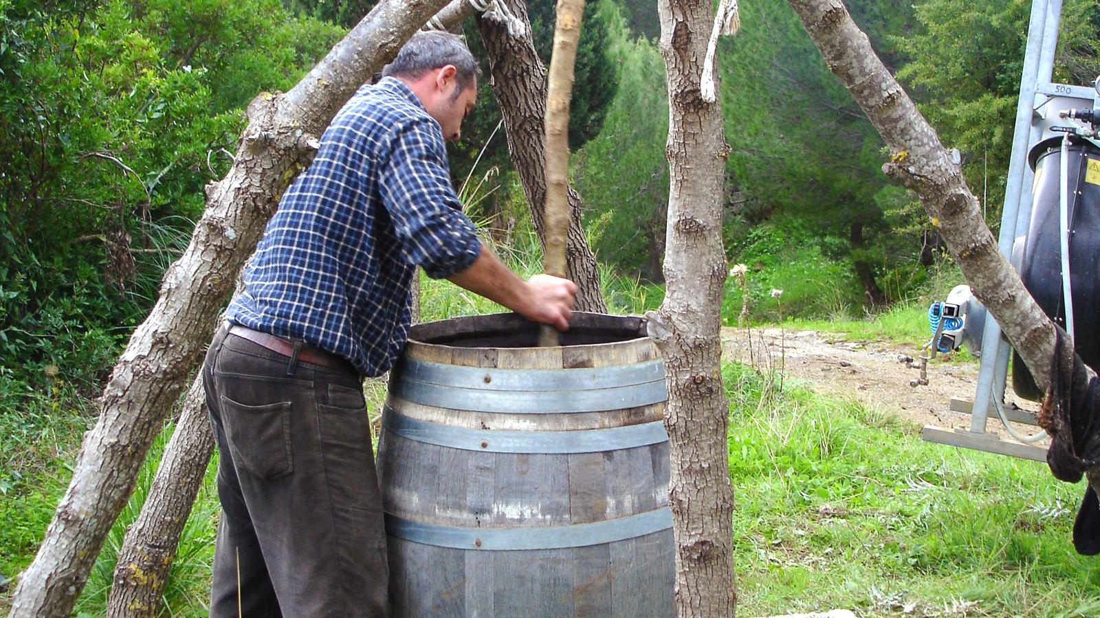Cantina, Abbazia Santa Anastasia
